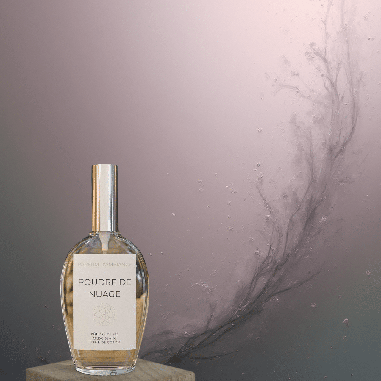 poudre de nuage
