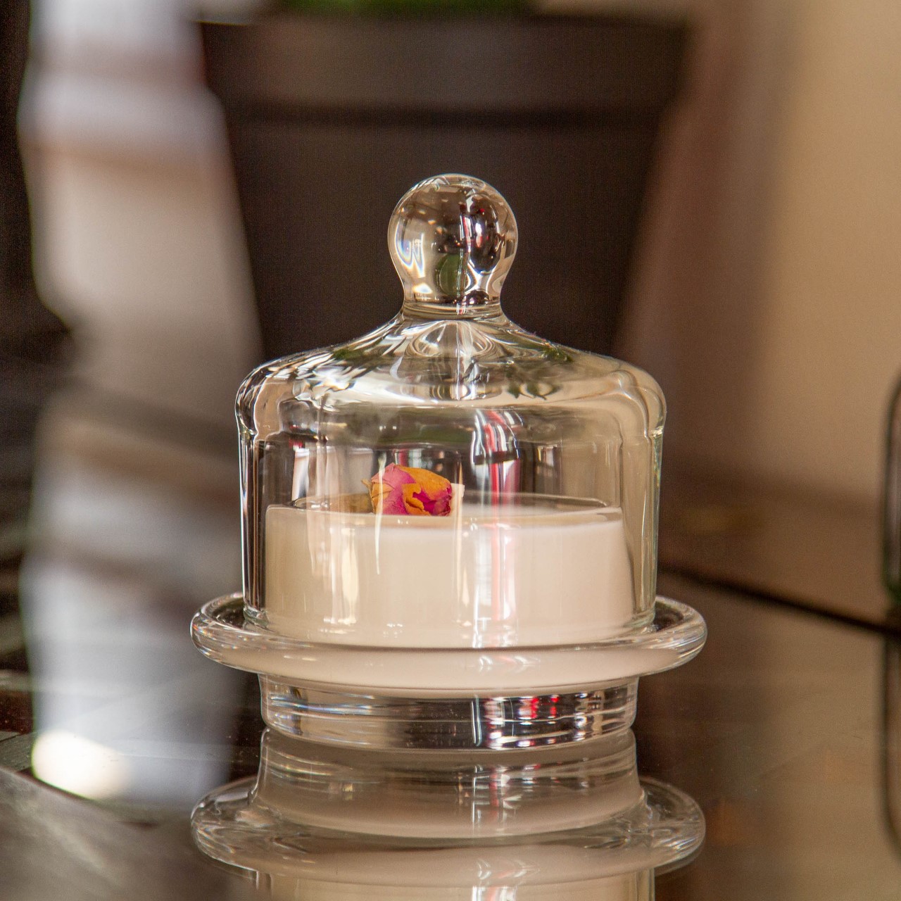 Cloche à Bougie, Senteurs d'Intérieur - Plantes & Parfums