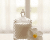 bougie fleur de tiaré